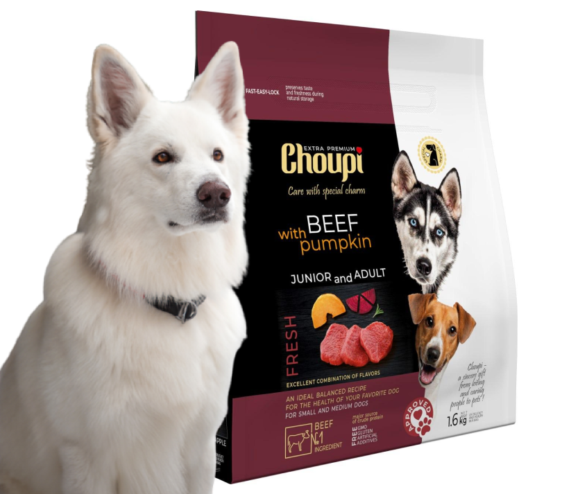 Dry food for dogs