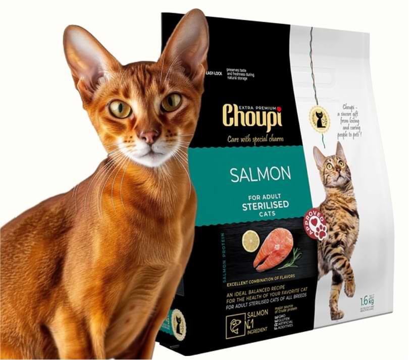 Dry food for cats